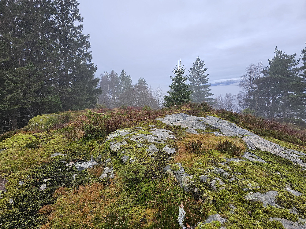 toppen på Røsslandsåsen 235
