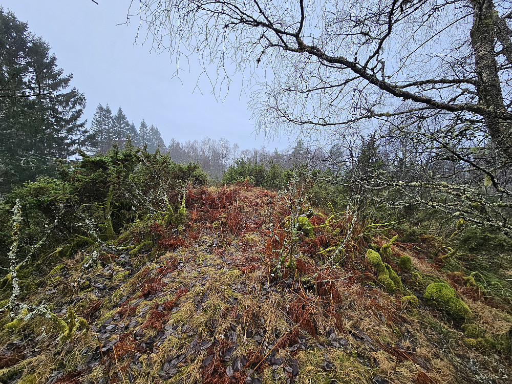 Åsen 272, vanskelig å få et bra bilde av toppen da det var brake rundt