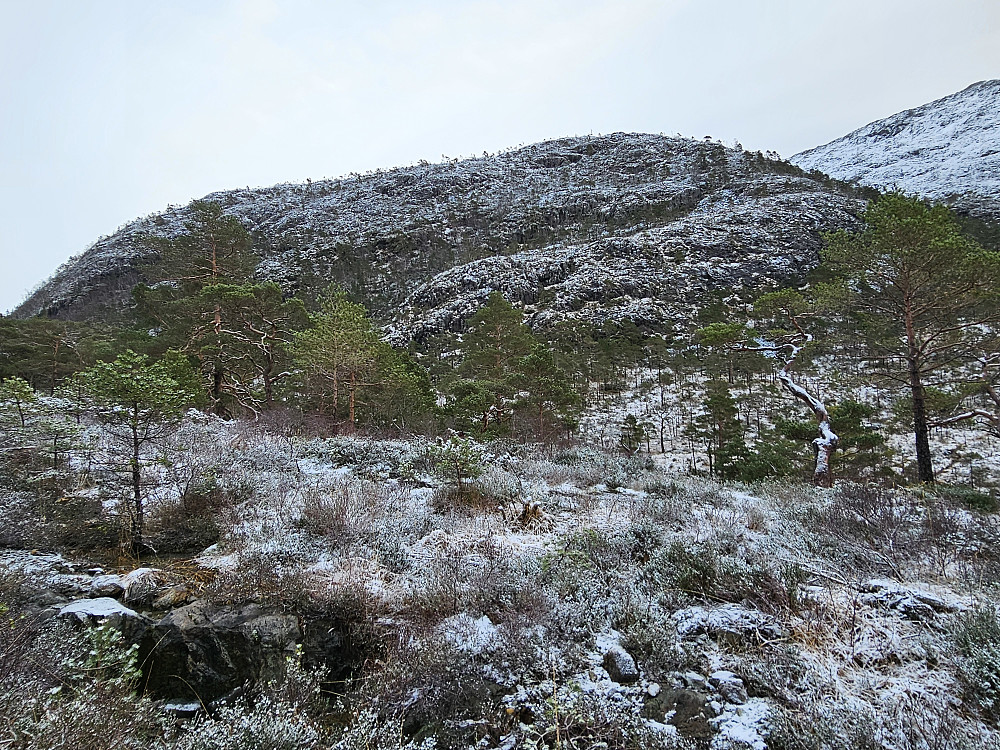 Trollhaugen sett fra nedsiden. 