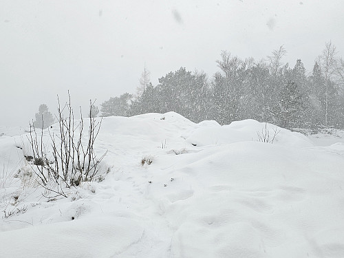 Ørneberget i snøbyge
