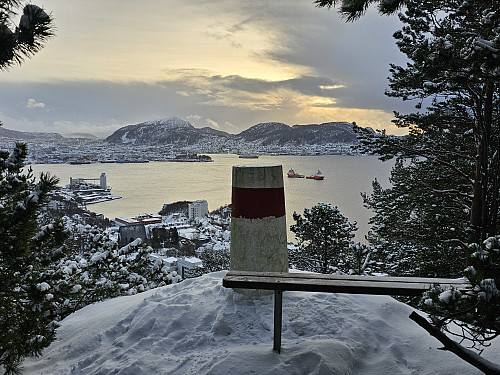 Furekammen mellom snøbygene