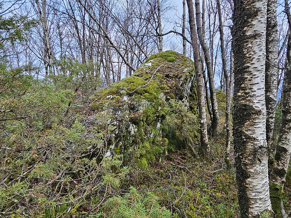 Hagåsen 358