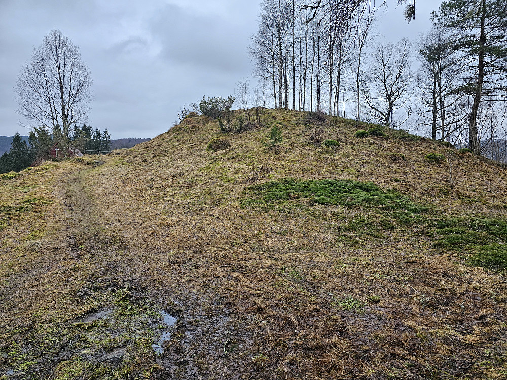 Åsen 218