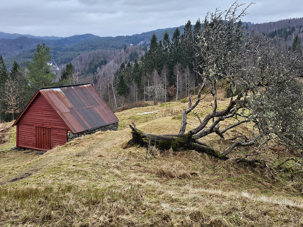 slåttemark med uteløe? og løypestreng tatt fra toppen av Åsen