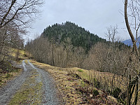 mot Liahedda
