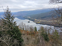 utsikt innover Samnangerfjorden