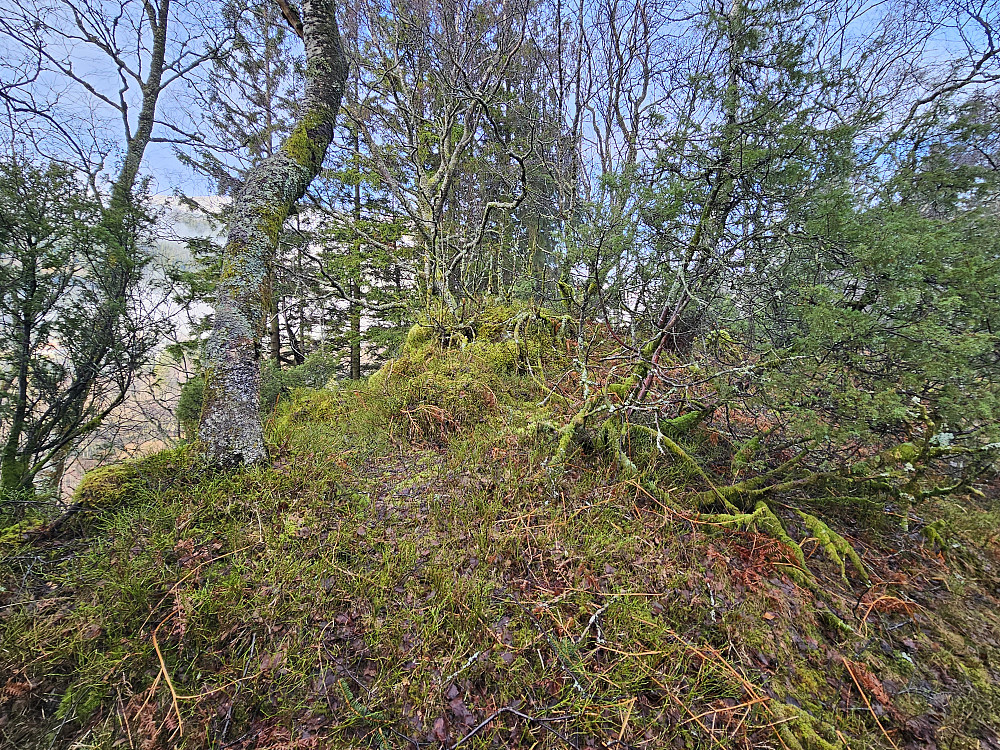 toppunktet på Søyleåsen 129