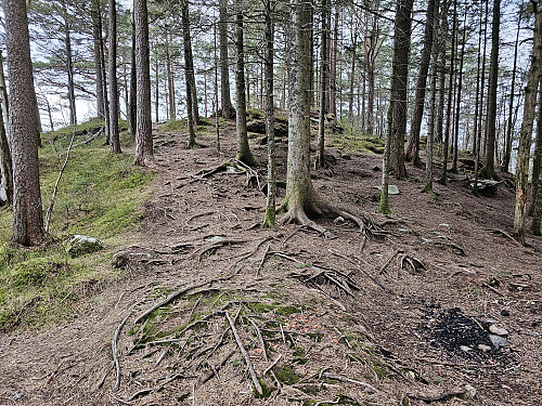 Haukeberget