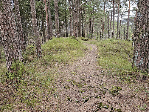 Haukeberget 142