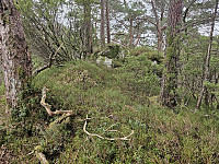 Hålihovda midt 308 (en mindre topp med fjellknaus)