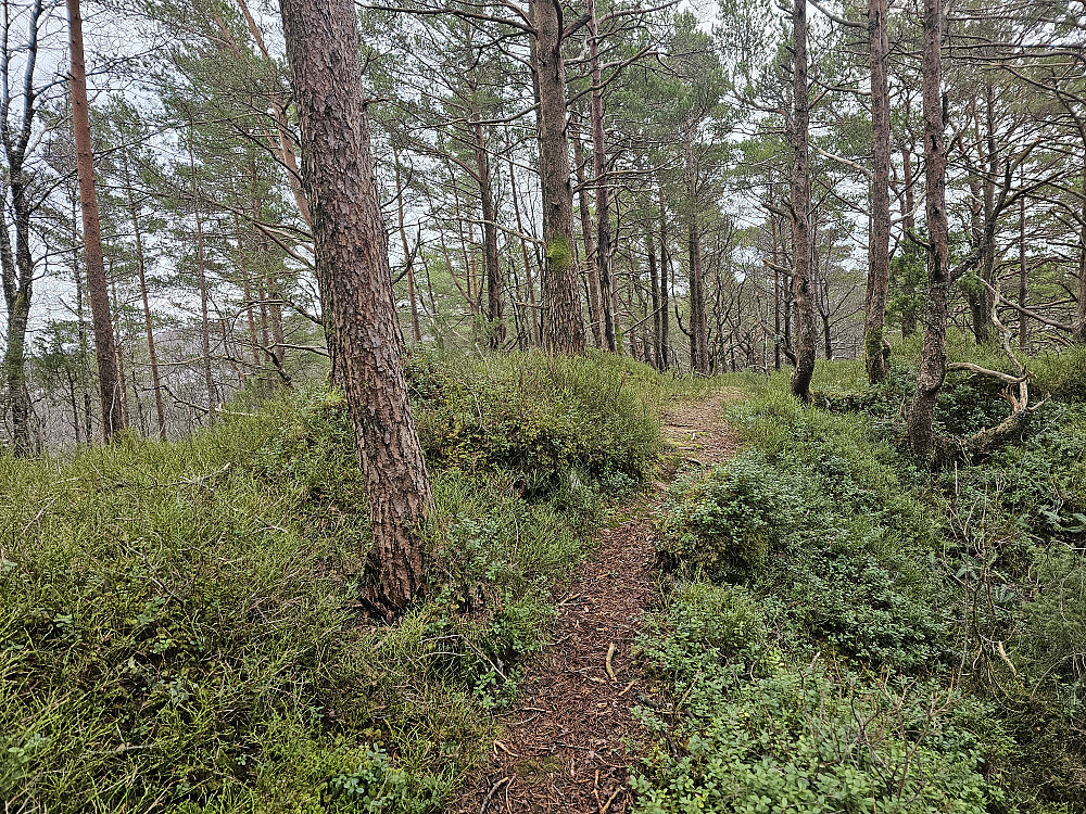 Hålihovden 326