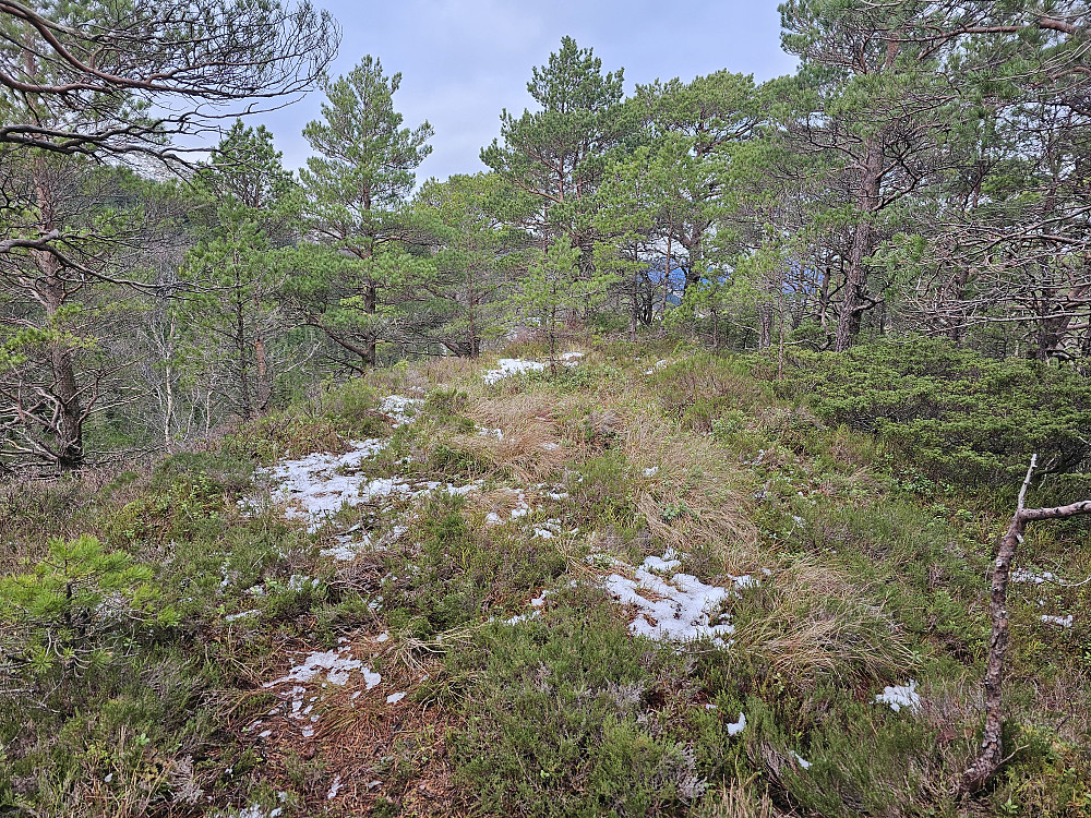 Hovdane 304