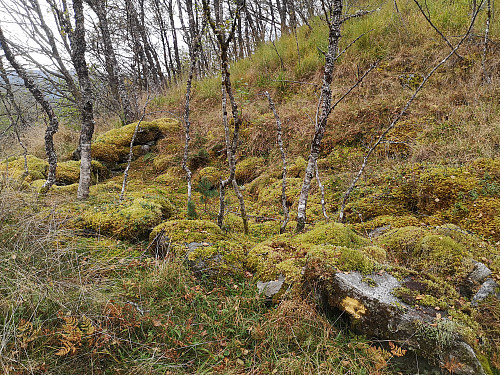 Løe? på Åsen