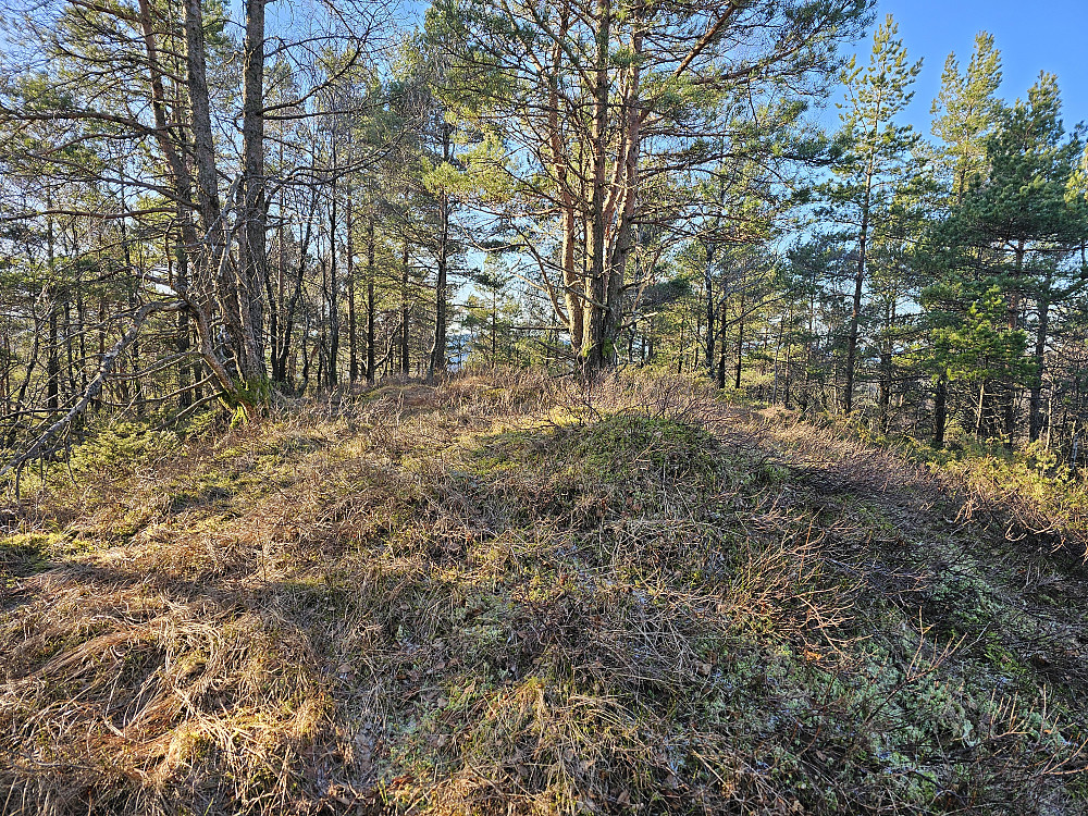 Smørkisfjellet 334