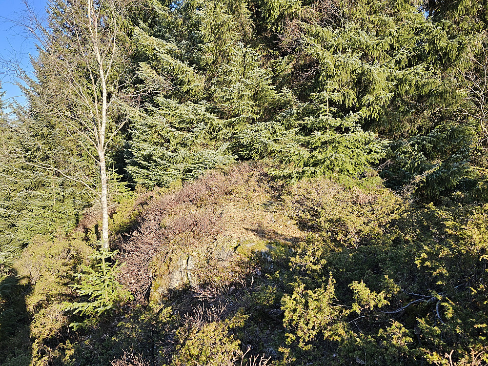 Hattråsen 312
