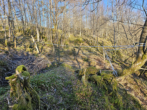stengt av midt på ryggen