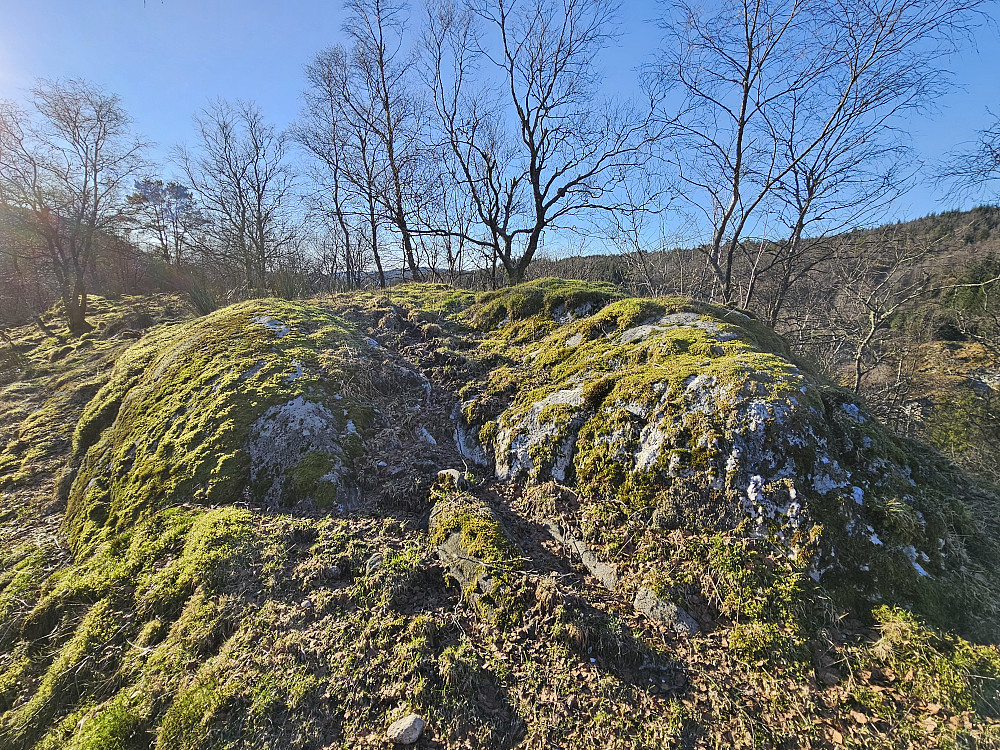 Meåsen 311