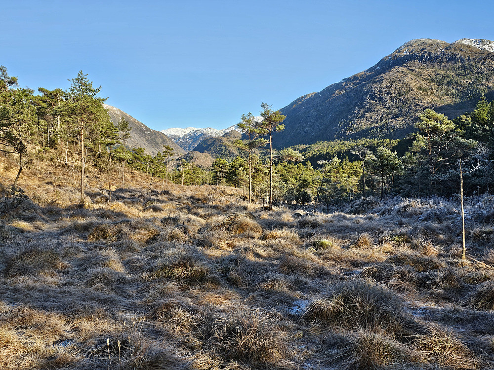 på returen over myrer sett innover i Hauglandsdalen