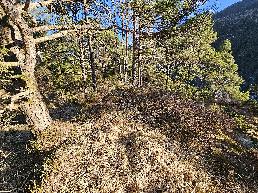 toppunktet på Høghaugen 162