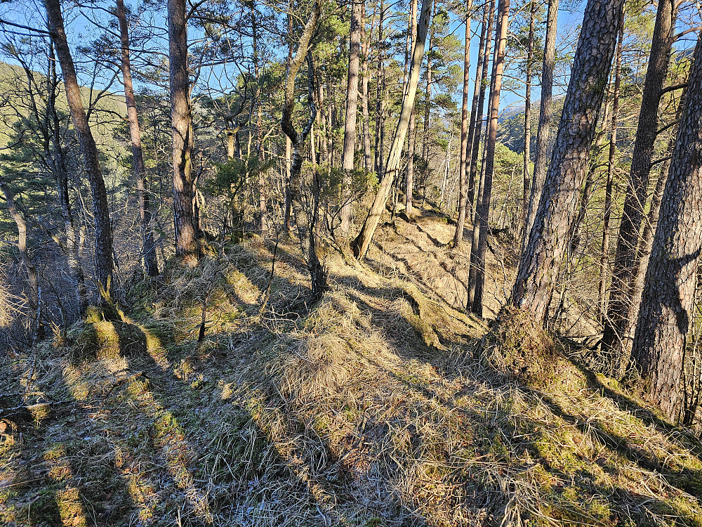 på ryggen til Engeviksrinden