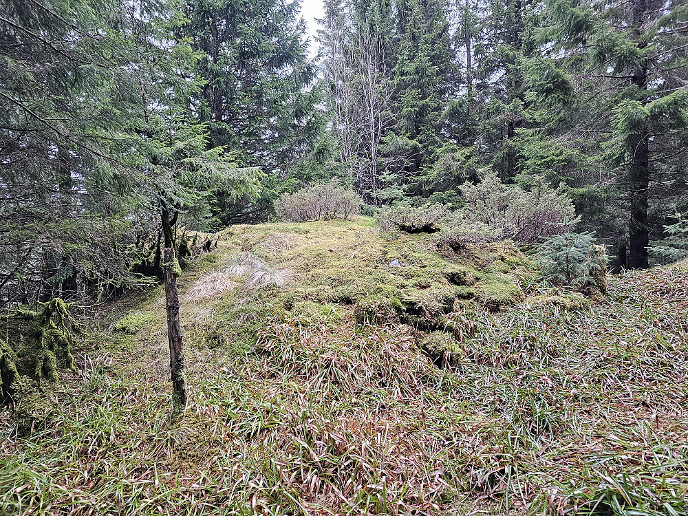 toppen på Åsen ovenfor Holereset 347