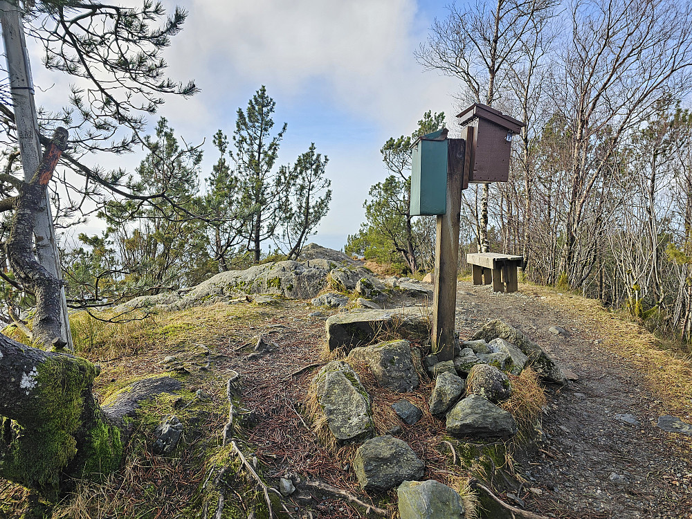 toppen på Lyshornet 405