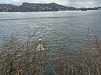 fyrlykten som er i bruk