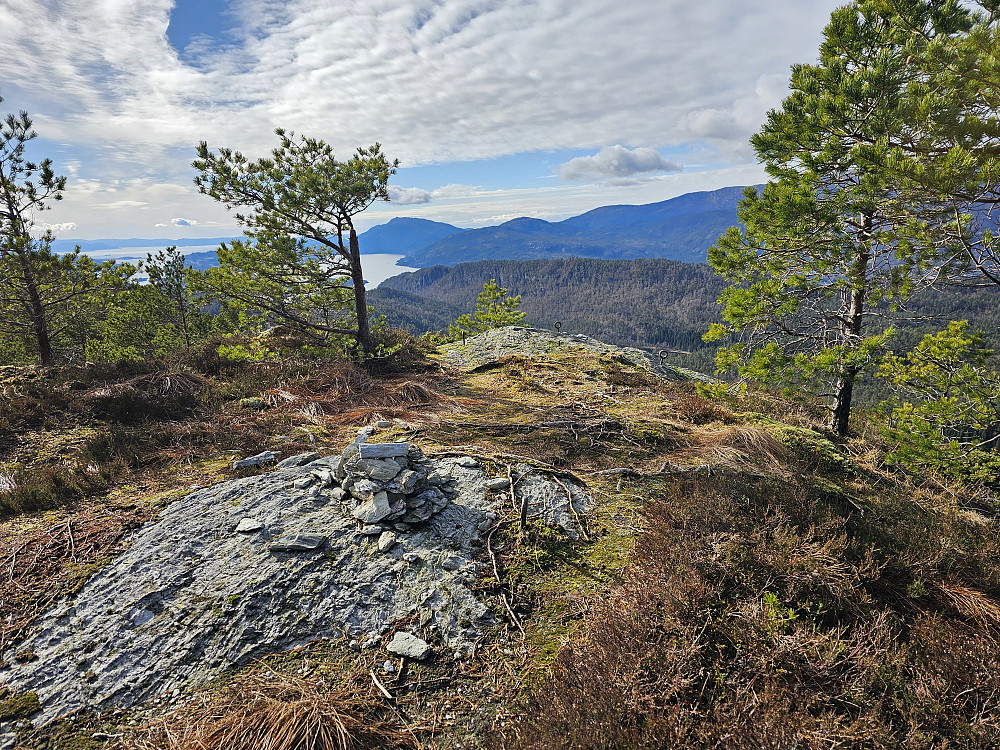 Skonholtet 423