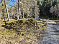 fin vei mot gårdene på Kampen