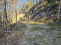 på traktorvei