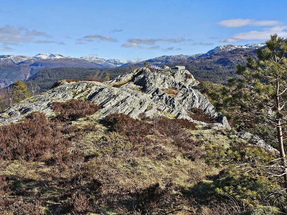 Steinafjellet 442