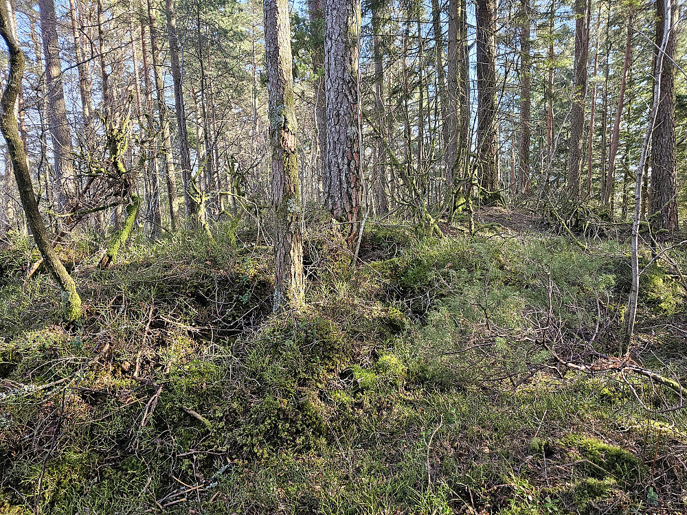 toppen på Stølsåsen 91