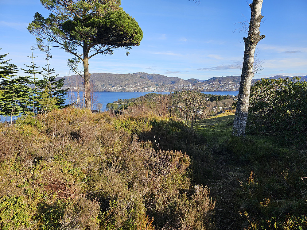 toppen på Tremmene ved bolig grensen 