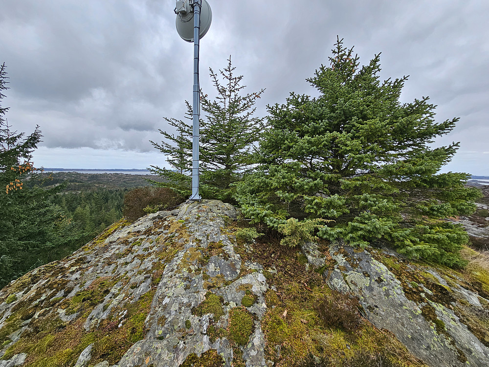 toppen på Abbedissefjellet 81