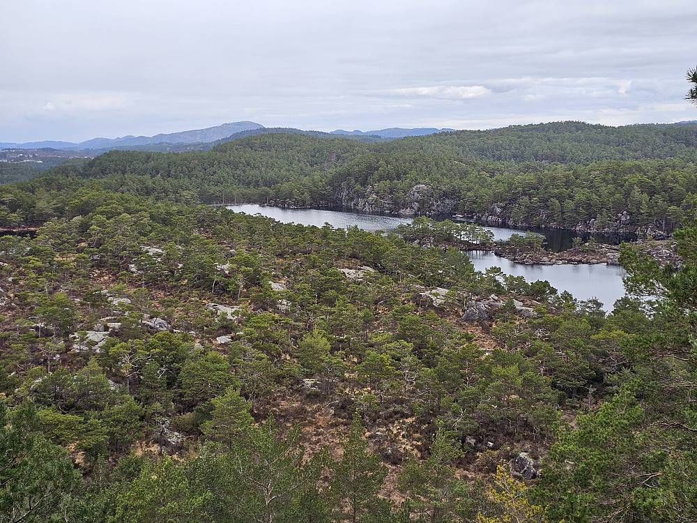 utsikt mot nord fra toppen