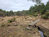 ved Bjøllevågstjørna