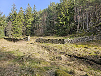 gårdmark mellom Litlavatnet og Hummelsund