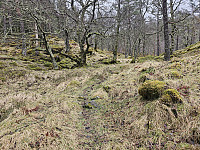 her ved Høgestølen