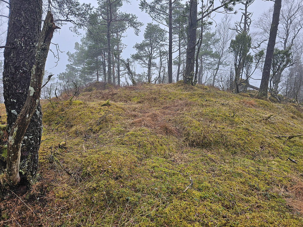 toppen på Norvest for Jonåsen 457