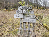 ved sinsen-krysset