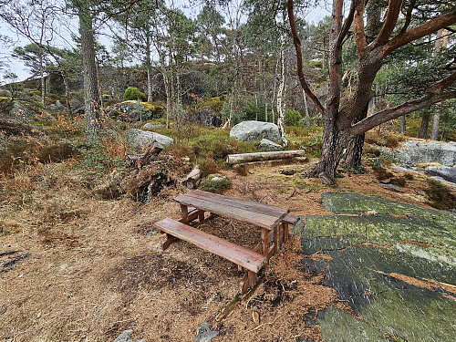 på Opsangerneset