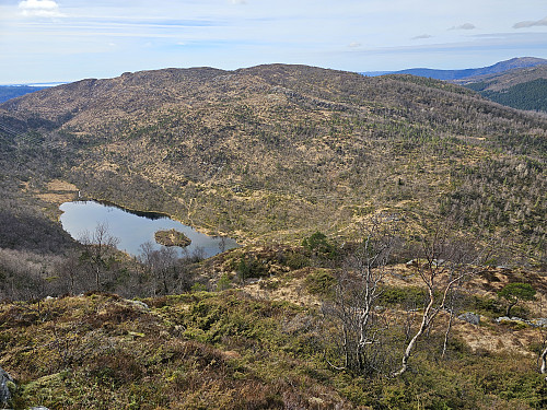 fra Rislikampen mot Skavdalsfjellet