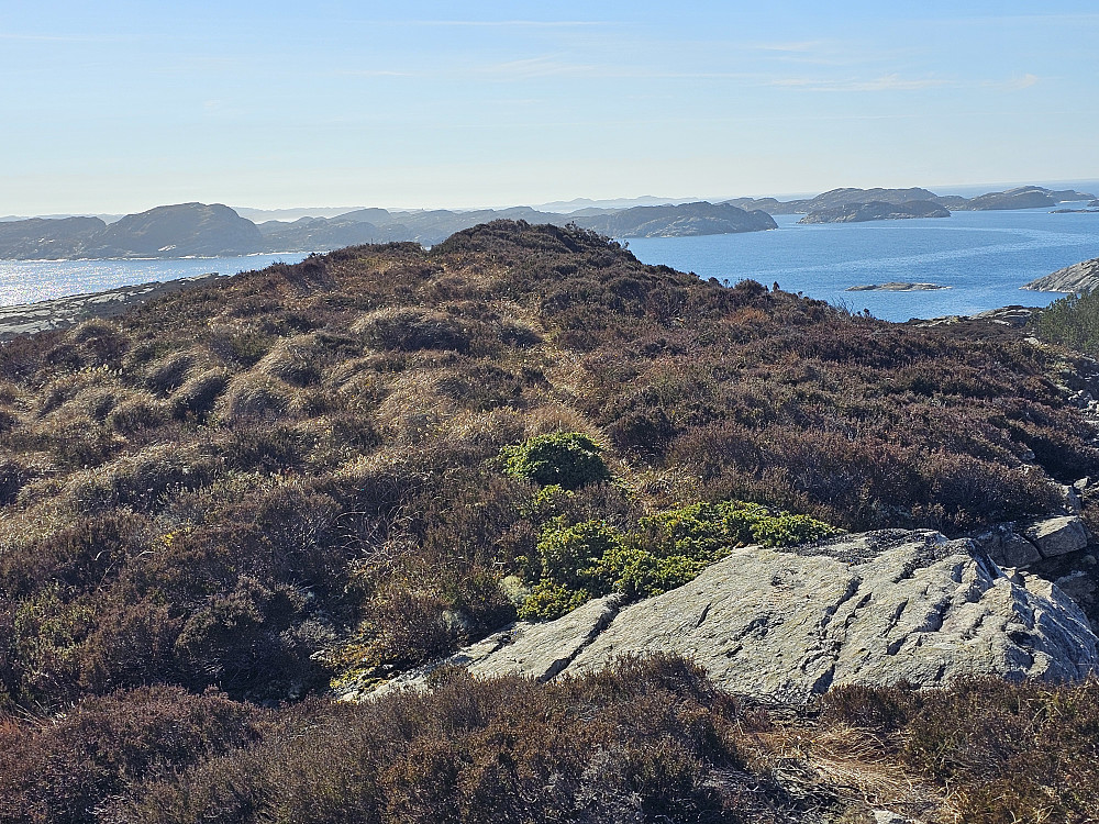 toppen på Furevikfjellet