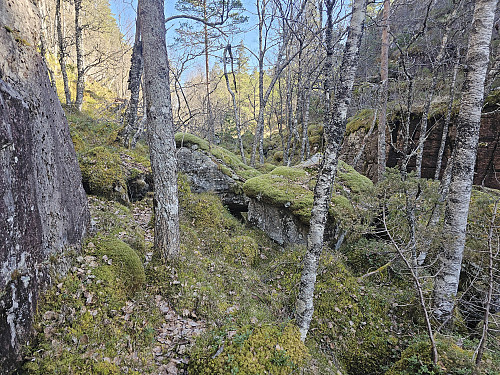 opp gjennom skaret fra Bukksteinvatnet