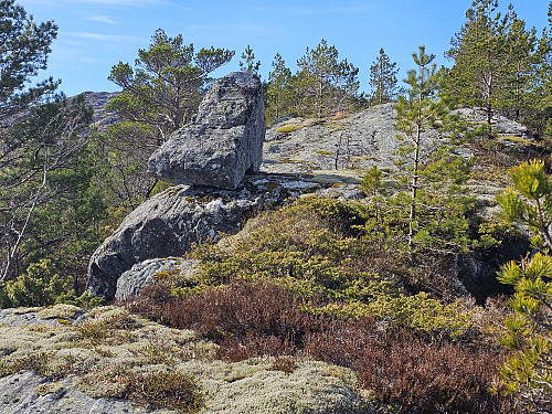 en stein rett under toppen