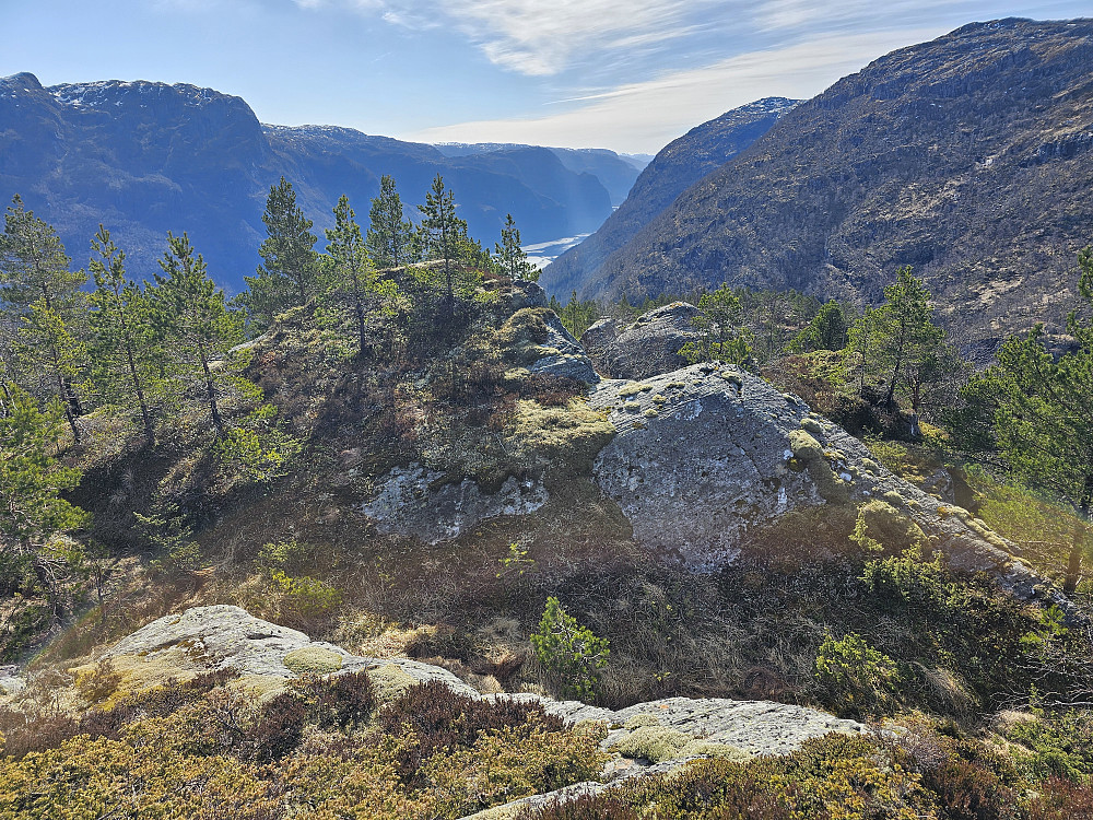 Pina 483 sett mot syd, skimter litt av Veafjorden