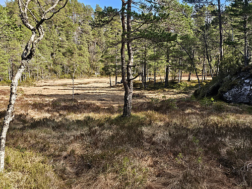 her ved Storebotnen