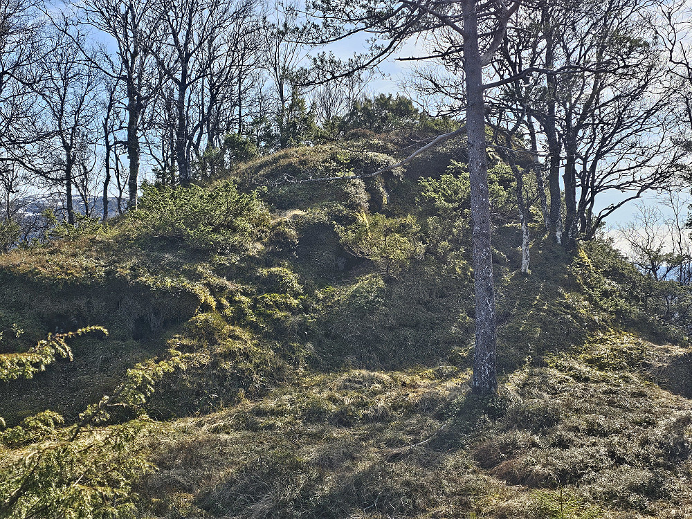 toppen på Kallvikanipa 489