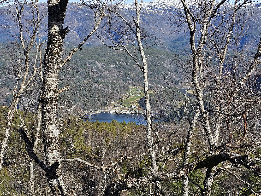 Stamnes sett fra Kallvikanipa