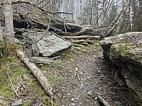 ras over traktorveien